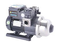 Walrus 1/4 HP HQ200 Electric Pump