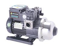 Walrus 1/4 HP HQ200 Electric Pump