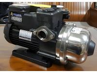 Walrus 1 HP Higher Head HQ800H Electric Pump